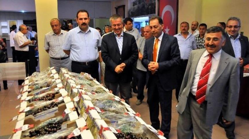 Akşehir Kirazı K&uuml;lt&uuml;r Ve Sanat Festivali Başladı