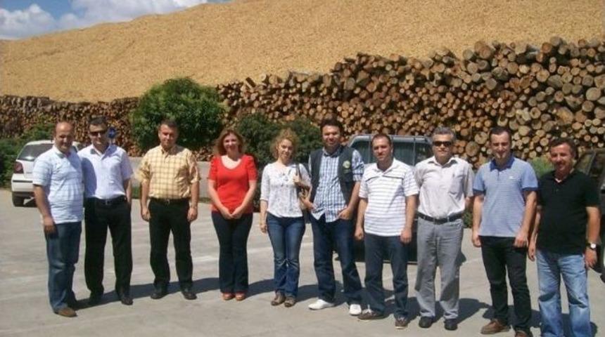 Adapazarı Orman İşletme M&uuml;d&uuml;rl&uuml;ğ&uuml;&rsquo;nden Teknik Gezi