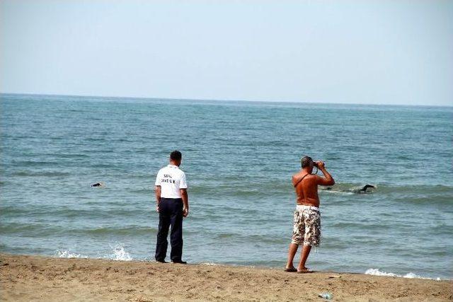 Karadeniz Eftal’i Vermiyor