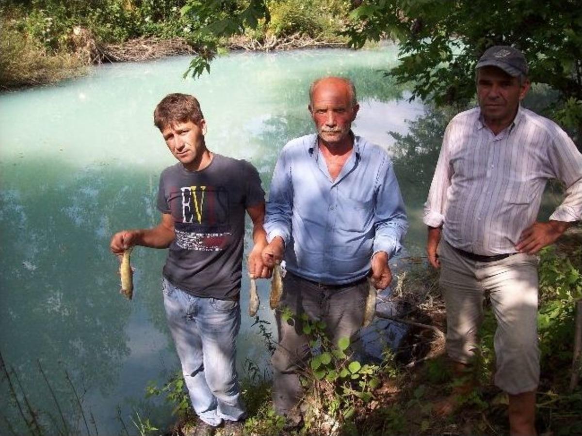 &Ccedil;an&rsquo;da Balık &Ouml;l&uuml;mleri Korkutuyor