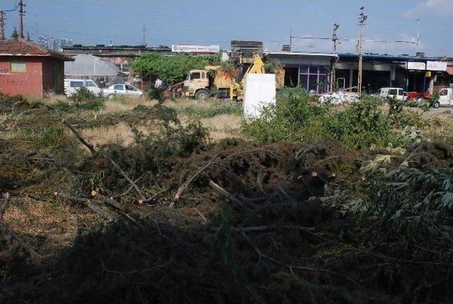 10 Milyon Euroluk Proje İ&ccedil;in Ağa&ccedil; Kesimi 1