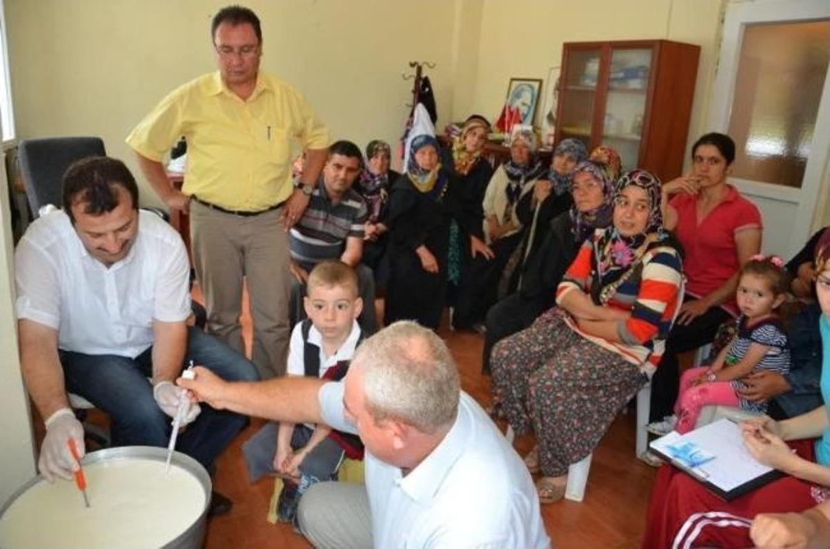 K&ouml;yl&uuml;lere Kaliteli Peynir Yapma Eğitimi Verildi