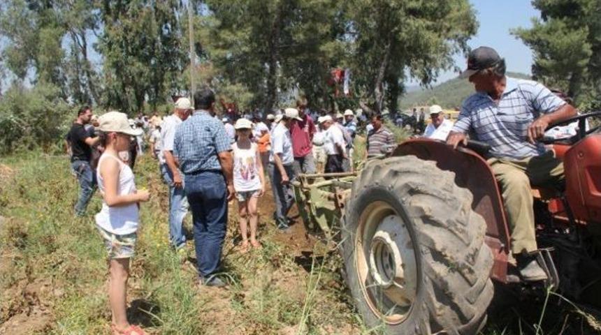 Muğla, Patates &Uuml;retiminde T&uuml;rkiye Ortalamasını Ge&ccedil;ti
