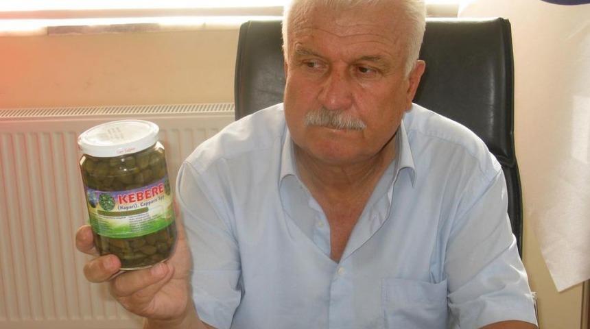 Araban'da Kapari Tarımı