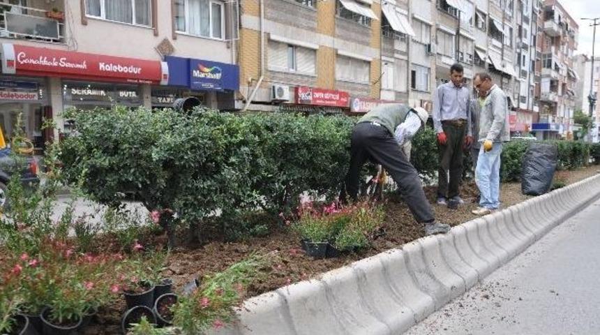 Kırklareli &Ccedil;i&ccedil;eklendiriliyor