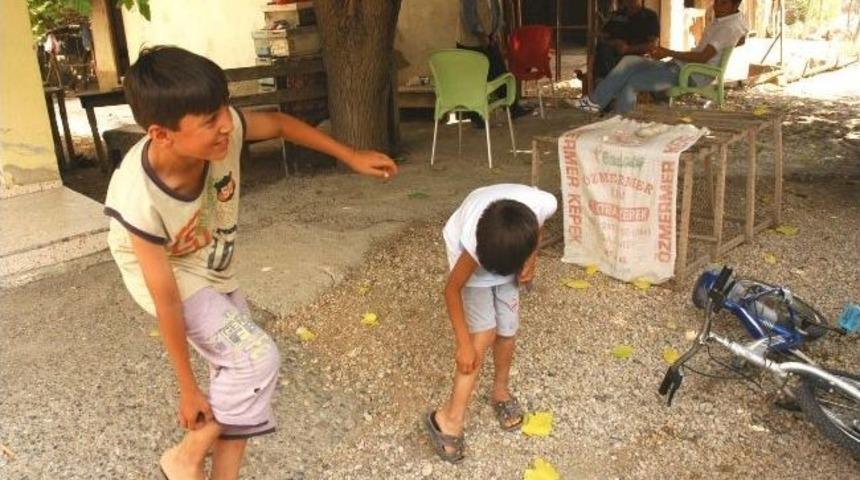 Tatarcık Sineği Mahalleyi Hastanelik Etti