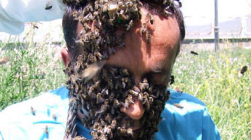Arılardan sa&ccedil; ve sakal yaptı
