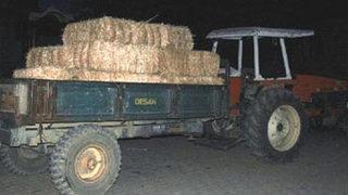 Eşiyle ilişkisi olan kuzenini öldürdü