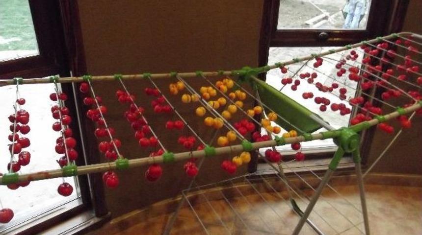 İzmit Sanat Sokağı&rsquo;nda Engelsiz Sergi