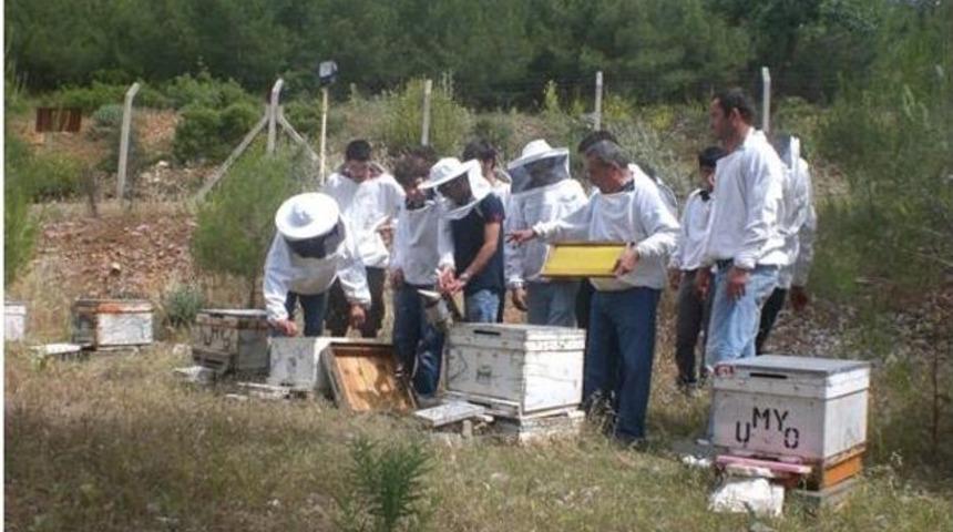 Arıcılık Programı 2. &Ouml;ğretimi A&ccedil;ıldı