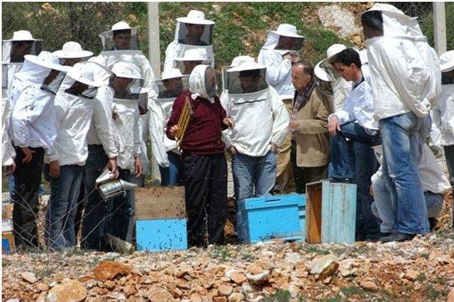 Arıcılık Programı 2. &Ouml;ğretimi A&ccedil;ıldı 1