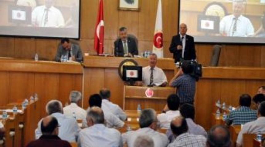 Yaban Koyunlarına Kameralı Takip