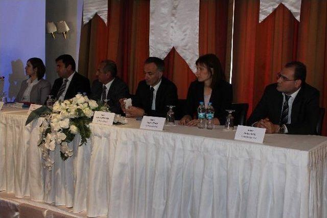 Manisa da &Ccedil;alışma Hayatında Denetim Paneli 2