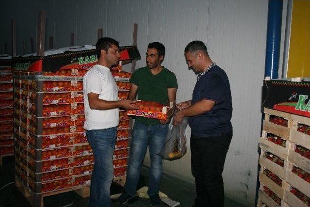 K&ouml;pr&uuml;başı&rsquo;ndan Isparta Kayısısı İhra&ccedil; Ediliyor 1