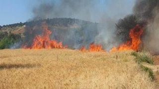 Yalıhüyük’te 15 Dekar Buğday Ekili Alan Yandı