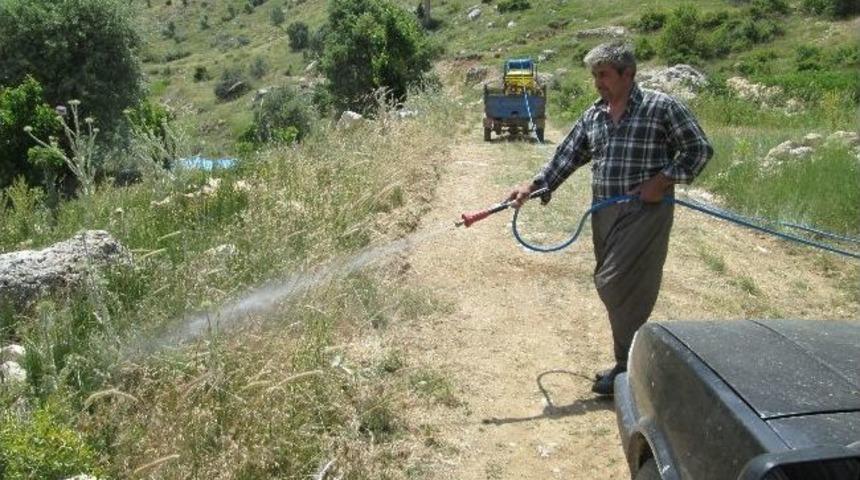 Karaman'da &Ccedil;ekirgelere Karşı M&uuml;cadele