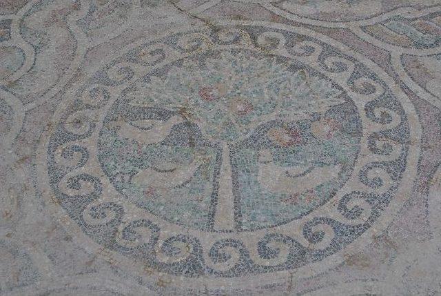 Amasya&rsquo;da G&ouml;r&uuml;lmemiş Mozaik 1