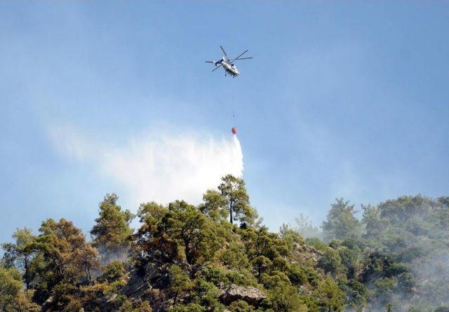 Antalya'da Orman Yangını