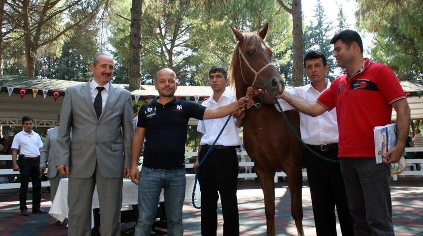 Tay Satışından 1 Bu&ccedil;uk Milyon Lira Gelir