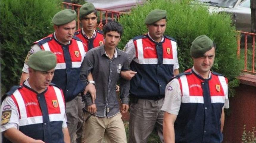 Yeğenin Tutuklanmasına Kızınca Ormanı Yakan Amca Tutuklandı