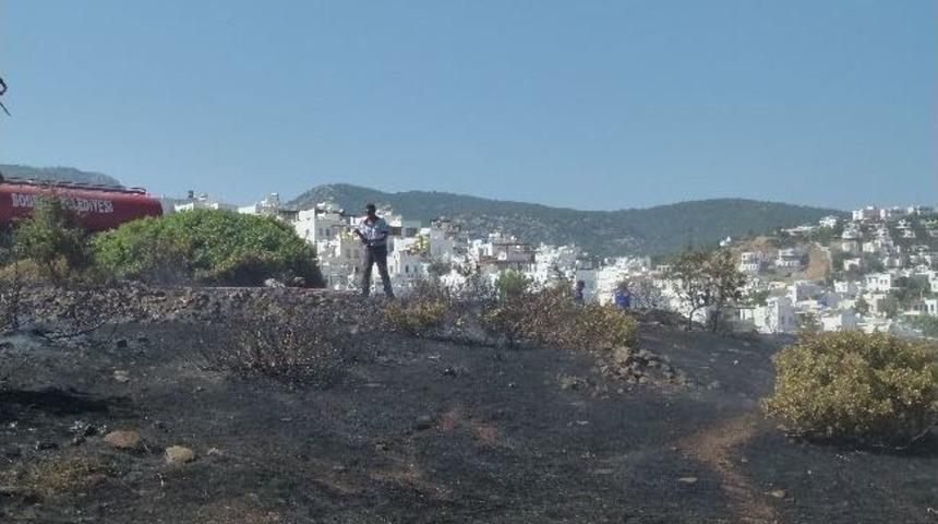 Bodrum&rsquo;da &Ccedil;ıkan Yangın Turistleri Korkuttu