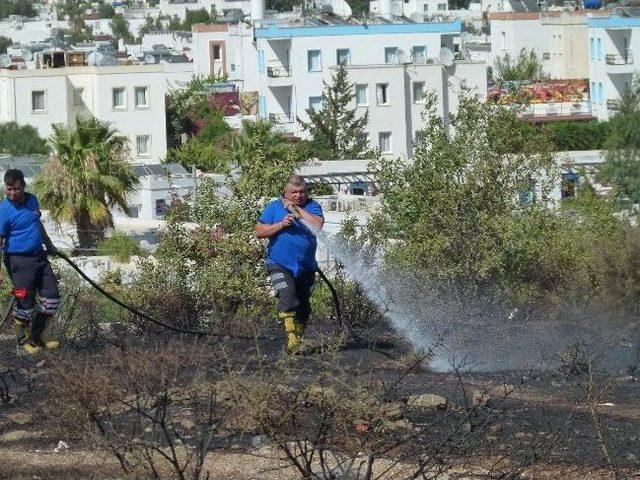 Bodrum&rsquo;da &Ccedil;ıkan Yangın Turistleri Korkuttu 1