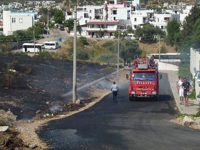 Bodrum&rsquo;da &Ccedil;ıkan Yangın Turistleri Korkuttu 2