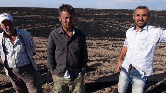 Yozgat ta 3 Bin Dekar Ekili Hububat Alanı Yandı 1