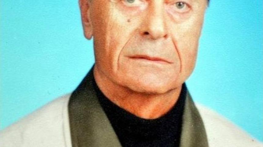 Yeşil&ccedil;am Bir &Ccedil;ınarını Daha Kaybetti