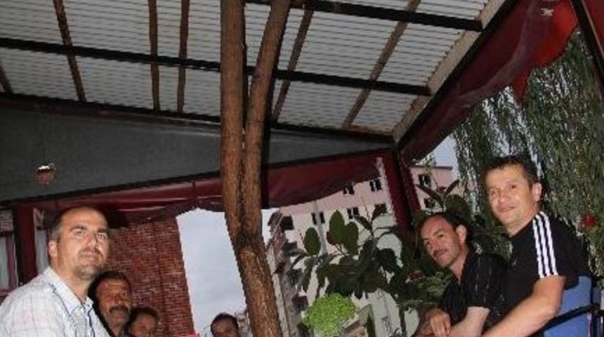 Babasının Diktiği Ağacı Kesmeye Kıyamayınca