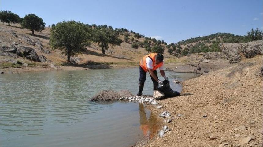Uşak&rsquo;ta Ani Balık &Ouml;l&uuml;mleri