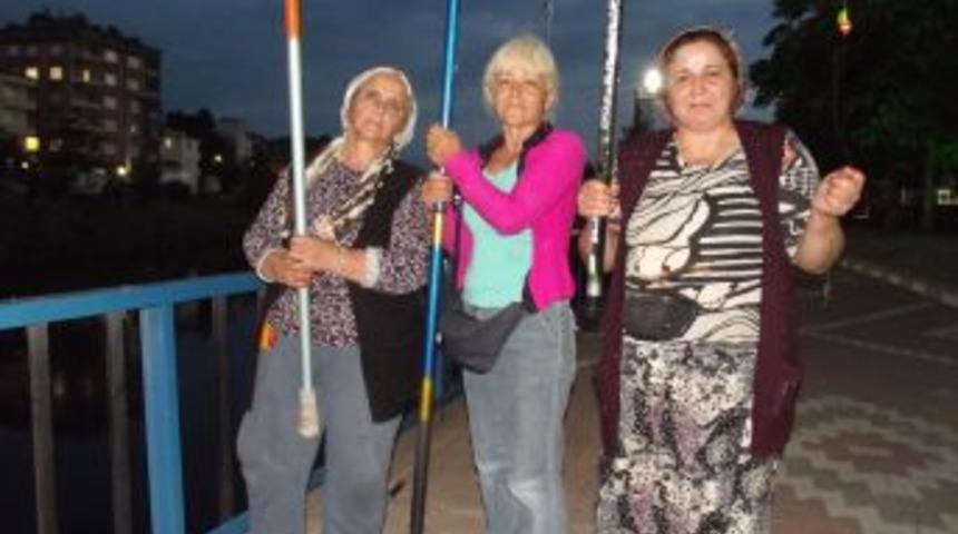 Terme &Ccedil;ayı'nda Balık Bereketi