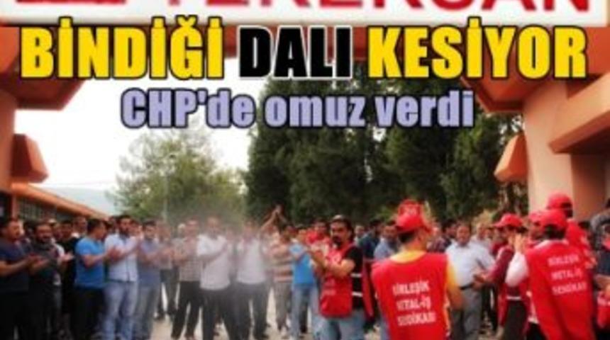 TEKERSAN bindiği dalı kesiyor