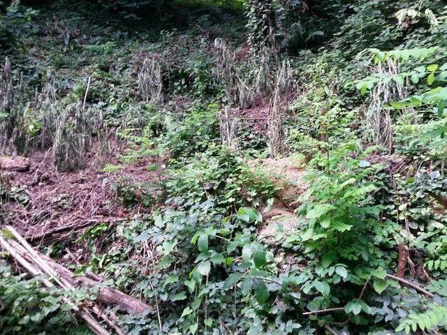 Trabzon Jandarması Uyuşturucuya Geçit Vermiyor 1