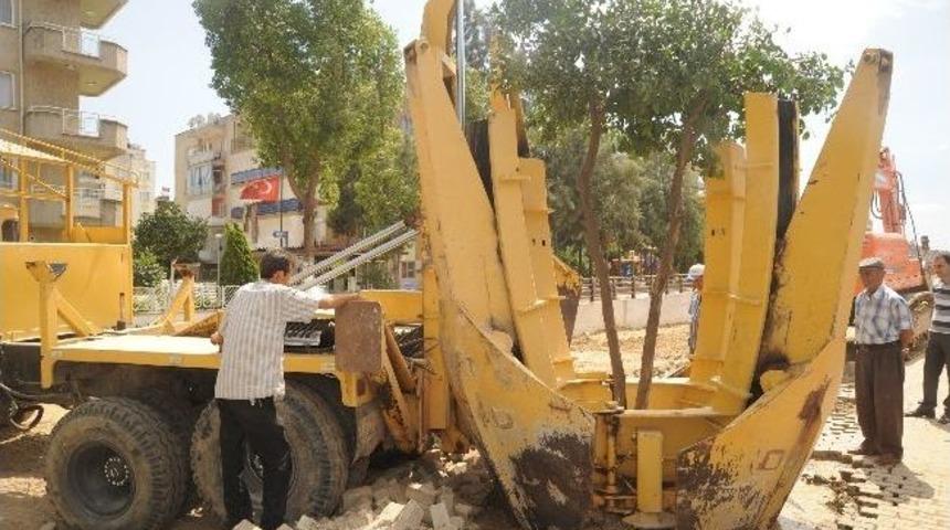 Aydın İstasyon Bulvarındaki Battı-&ccedil;ıktı Hattındaki Ağa&ccedil;lar Yaşatılacak