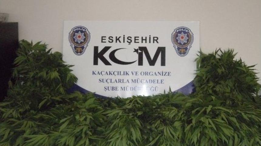 Eskişehir&rsquo;de Uyuşturucu Operasyonları