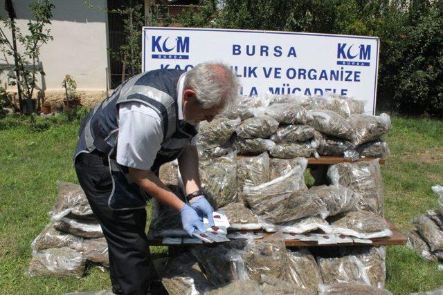 Emanet Kamyonetin Plakasını Boyayıp 180 Kilo Esrar Taşımışlar 3
