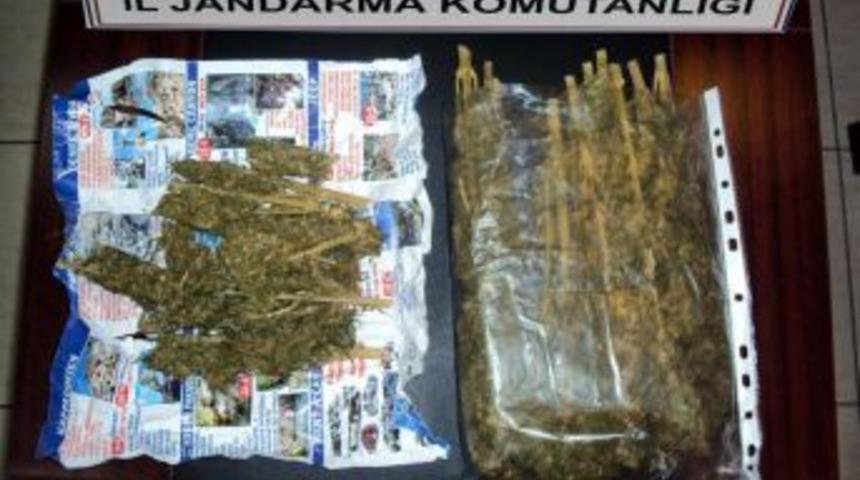 Alanya M&uuml;ft&uuml;l&uuml;ğ&uuml;, "S&ouml;z&uuml;m&uuml;z Var" Projesini Başlattı