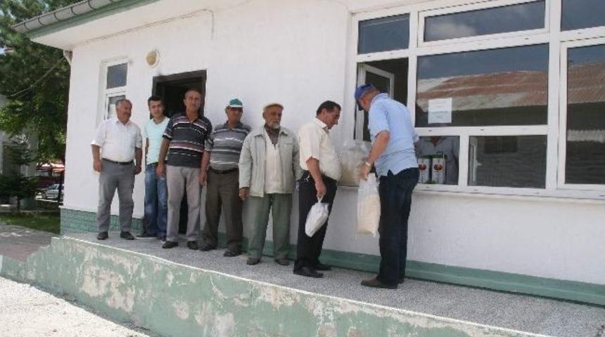 Ramazan Ayı &Ouml;ncesi Tmo&rsquo;da Pirin&ccedil; Satışları Arttı