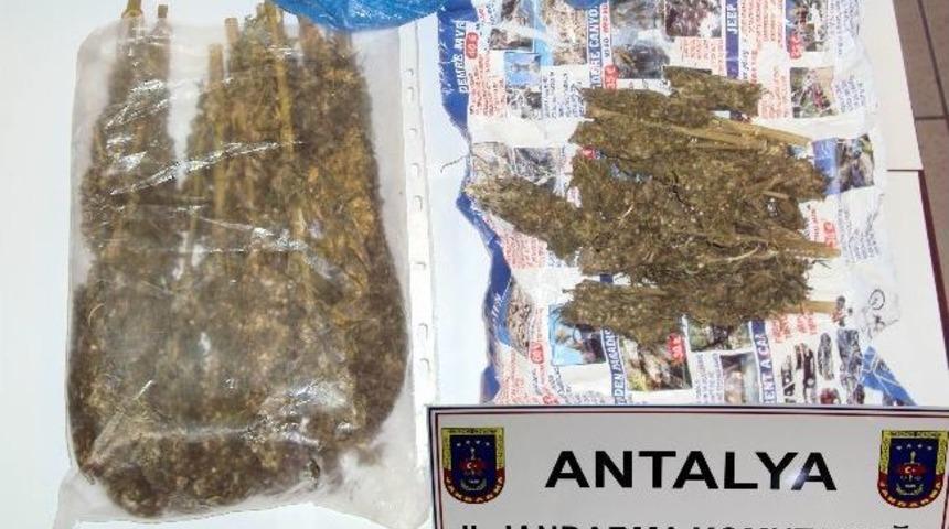 Jandarmadan Esrar Operasyonu