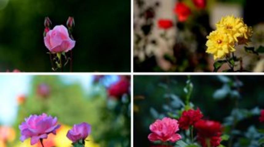 K&ouml;şk&rsquo;&uuml;n Objektifinden &Ouml;zel Kareler