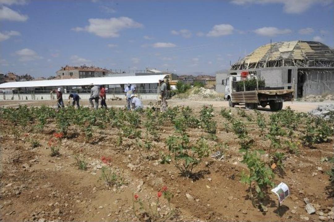 Karaman'da G&uuml;l Bah&ccedil;esinde Sona Yaklaşıldı