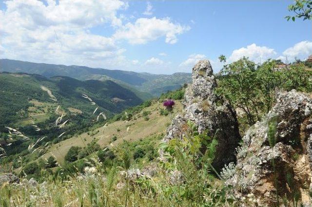 Uludağ Futbolun Merkezi Olacak 1