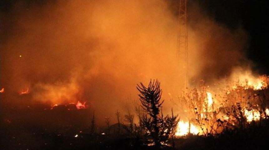 Denizli'de Yangın Korkuttu