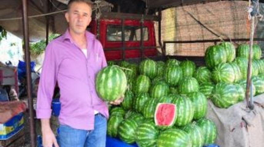 Organik Ve Yerli Karpuza Rağbet &Ccedil;ok