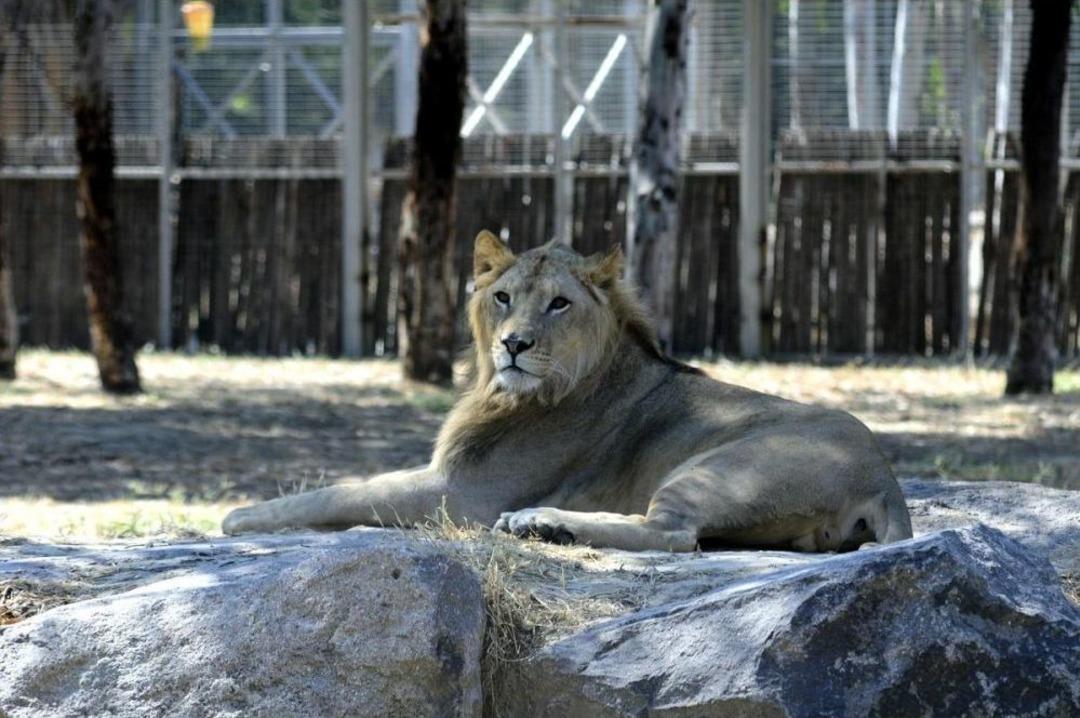 İzmir Doğal Yaşam Parkı'na &Ouml;d&uuml;l