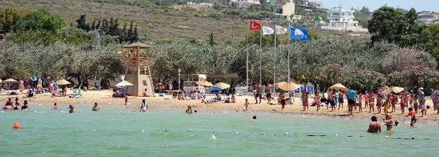 Sakinşehir in "mavi Bayrak" Gururu 1