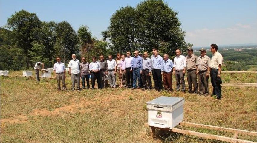 Pazark&ouml;y&rsquo;de Bal Ormanı A&ccedil;ılışı Yapıldı