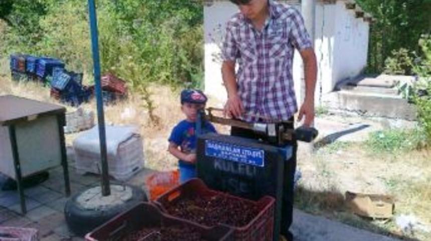 Ge&ccedil;en Yıl 1 Liradan Alınan Vişne 1.70 Liraya Y&uuml;kseldi