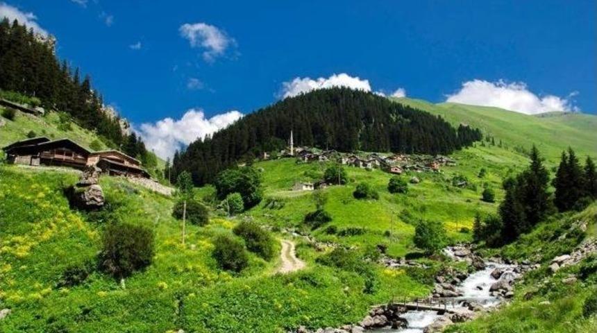 Ayılar K&ouml;yl&uuml;lere Rahat Y&uuml;z&uuml; G&ouml;stermiyor